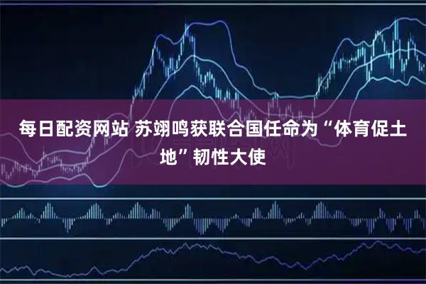 每日配资网站 苏翊鸣获联合国任命为“体育促土地”韧性大使